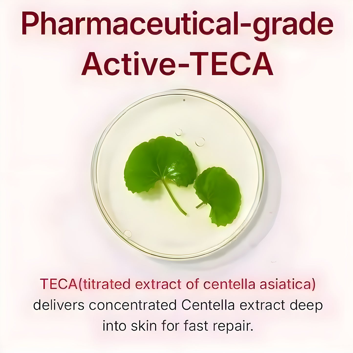 Madeca Youth Repair Cream